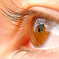 4 важливих елемента для очей