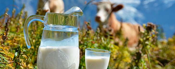 7 здорових причин пити натуральне молоко