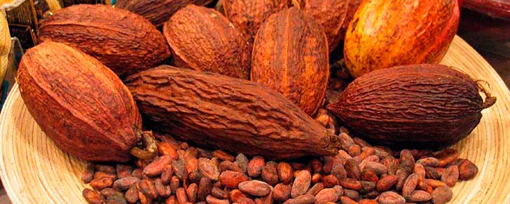 Какао: користь і шкода